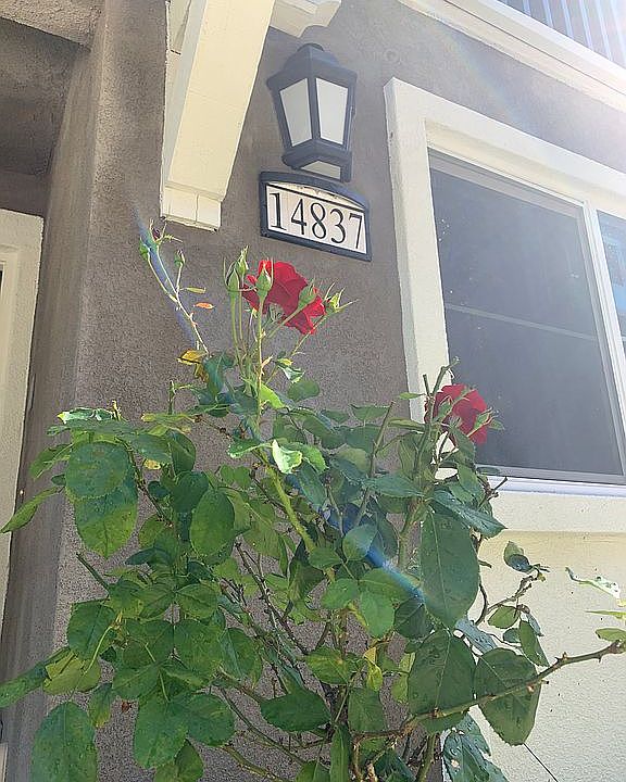 2nd image of 14837 Maple Ter