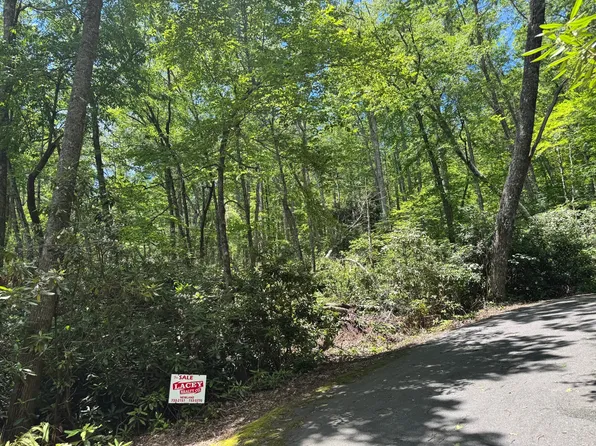 Parks Mountain Dr #1-222, Jonas Ridge, NC 28641