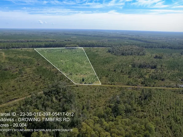 12 Growing Timbers Rd, Crawfordville, FL 32327