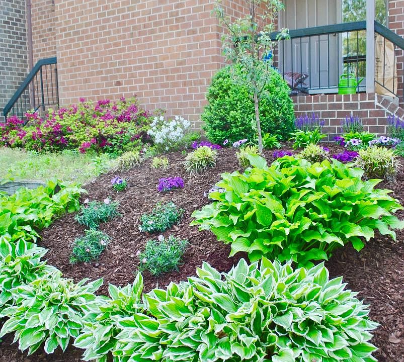 Beautiful Front Garden