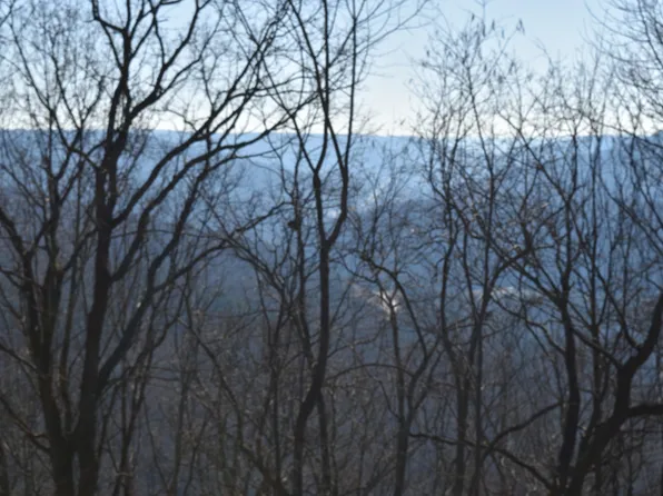 21 Laurel Lake Dr Lot 21, Monteagle, TN 37356