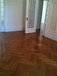 Rented by Anthony Mariano, lreb