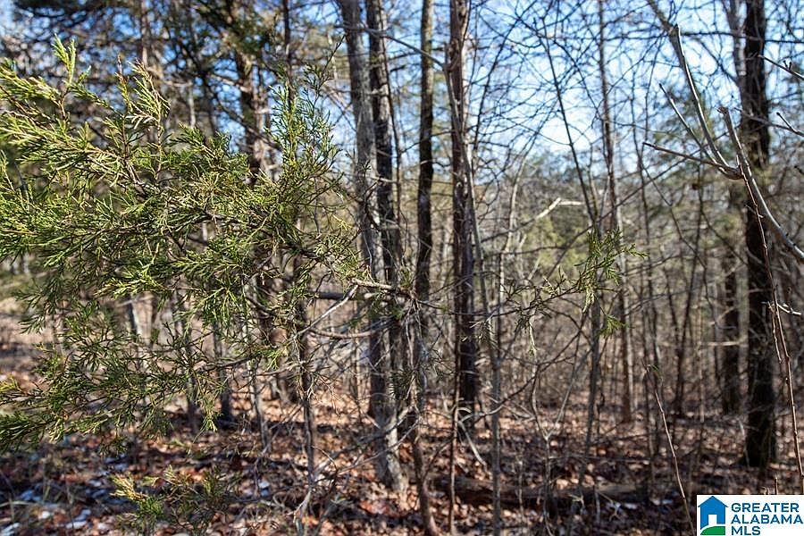 2nd image of 400 Rivers Edge Trl #0