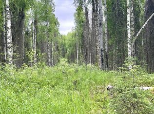 16082 E Greenleaf Dr, Talkeetna, AK 99676