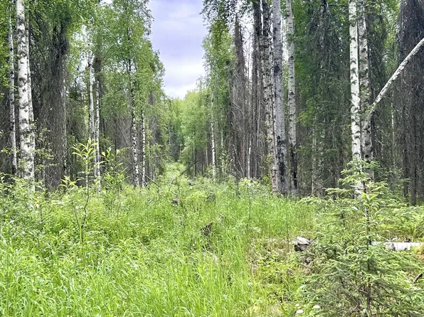 16082 E Greenleaf Dr, Talkeetna, AK 99676