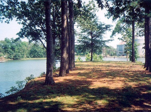 5th image of 187 Boat House Cv
