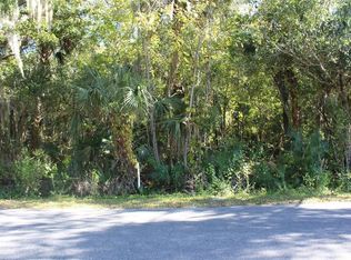 Flamingo Rd LOT 1020, Oak Hill, FL 32759