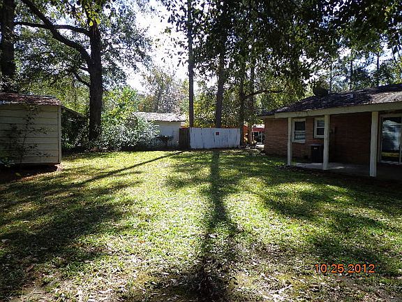 Back yard