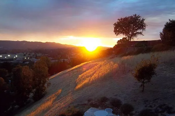 4 Sunrise Ter photo 1