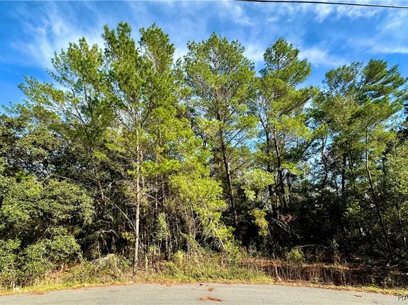 7741 N Oasis Point, Citrus Springs, FL 34433