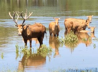 LOT 189 Trophy Pointe LOT 189, Larue, TX 75770