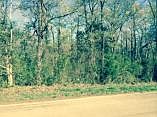 1st image of 000 Law 243