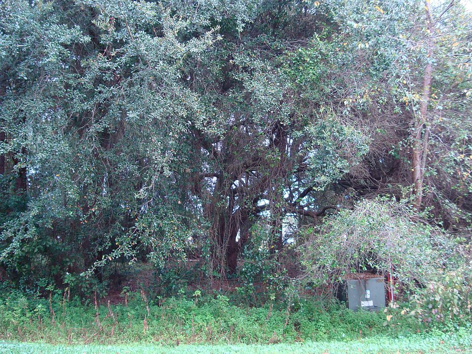 1st image of 0 N LEAFDALE Circle