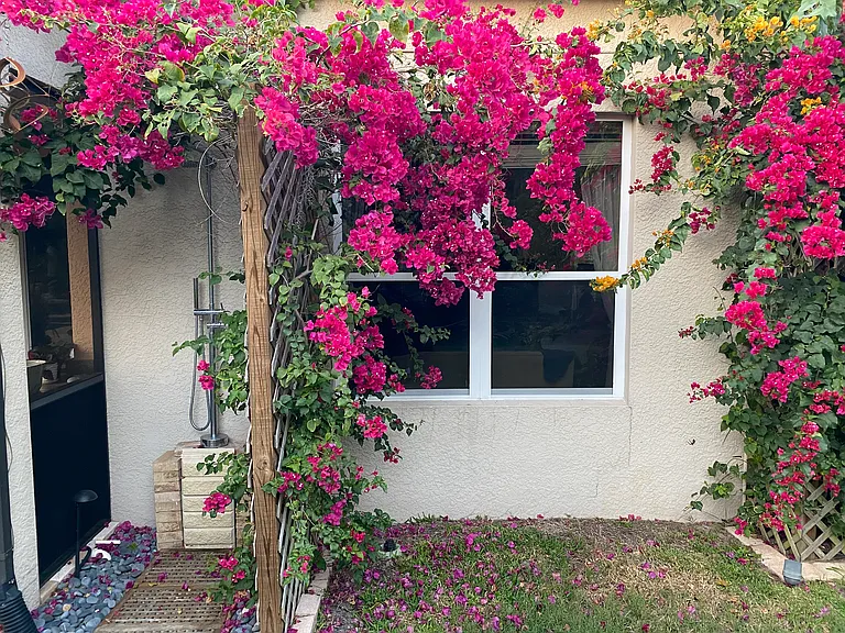 1596 Pinyon Pine Dr — Photo 20