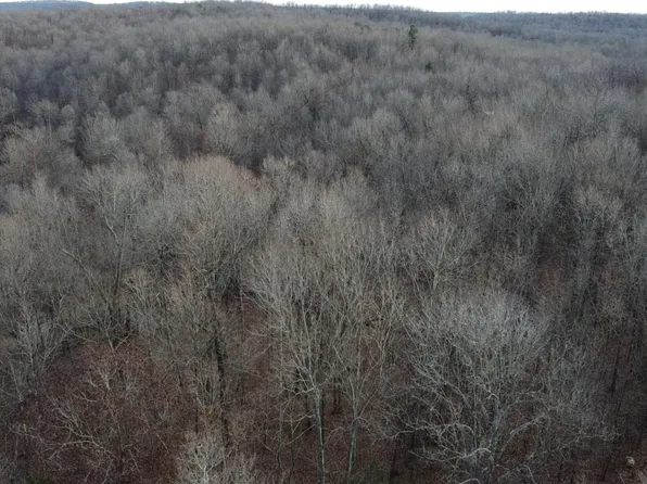 No Address, Ravenden, AR 72459