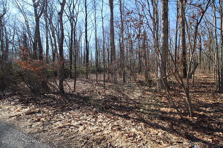 1st image of Black Oak Ln