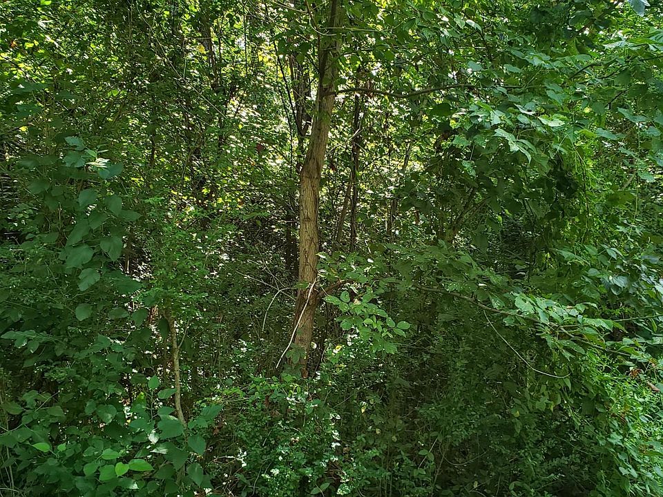 2nd image of South St
