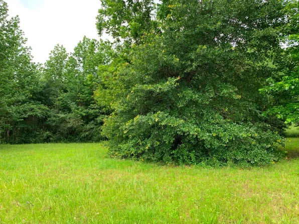 42 An County Rd #3009, Frankston, TX 75763