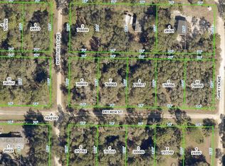 0 Decker St, Webster, FL 33597
