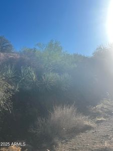 Xx Black Peak Rd #90, Globe, AZ, 85501