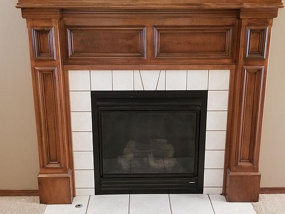 Fireplace with Ornamental Woodwork