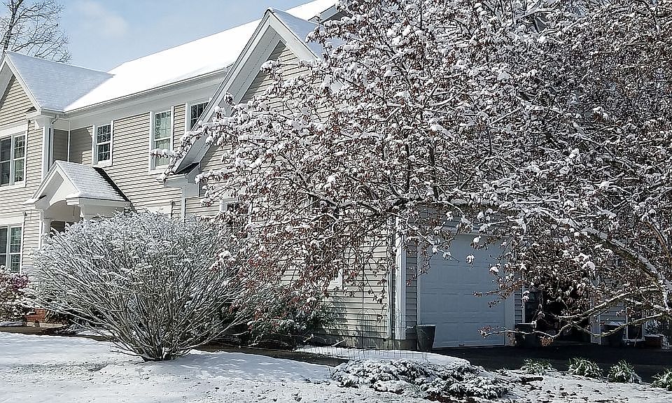 2nd image of 11 Debra Dr