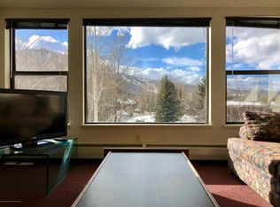 944 Vine St #944, Aspen, CO 81611