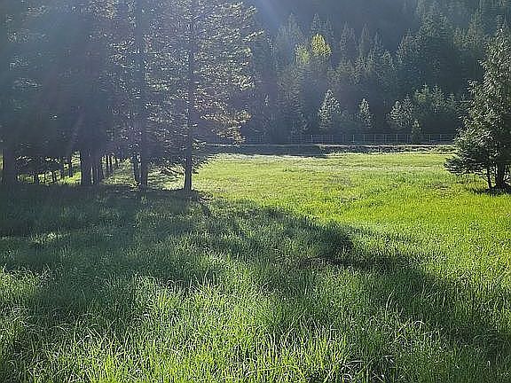 3rd image of 744 Reeds Creek Rd