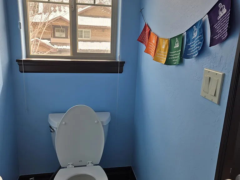 Separate water closet in master bath