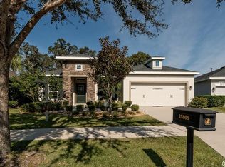 15808 Starling Water Dr, Lithia, FL 33547