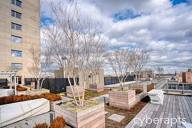 Rented by Cyberapts Management