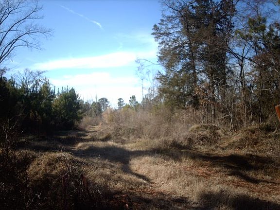 4th image of 15667 State Highway 43 N