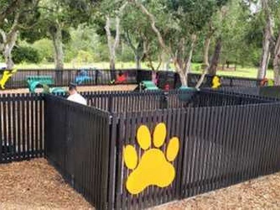 Dog Park