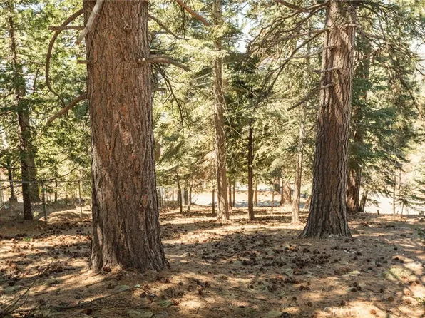 30908 Glen Oak Dr #260, Running Springs, CA 92382