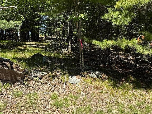 4th image of Song Mountain Dr
