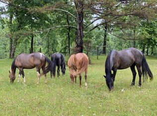 925 Bumpas Rd, Lawrenceburg, TN 38464