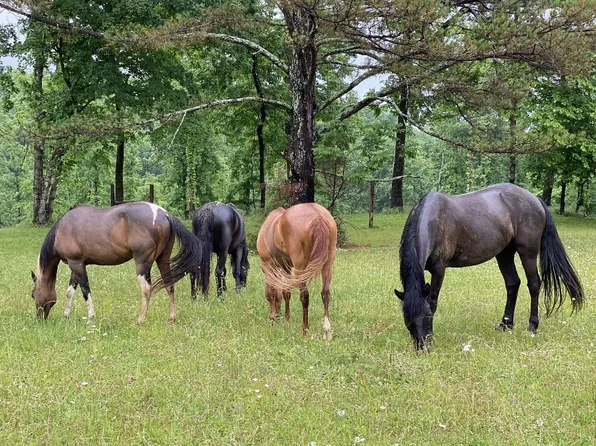 925 Bumpas Rd, Lawrenceburg, TN 38464