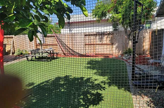 beautiful backyard lot of shaded areas