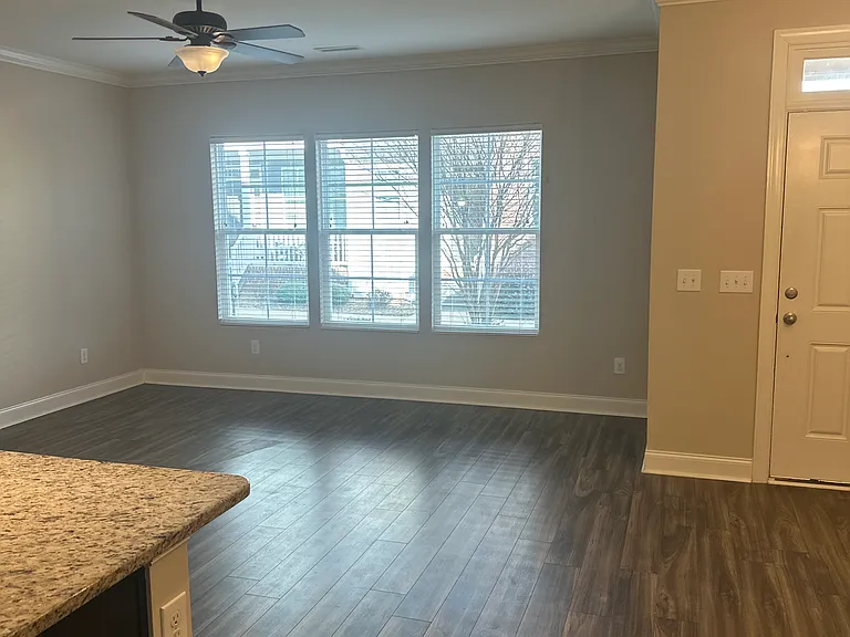 913 Townes Park St — Photo 13