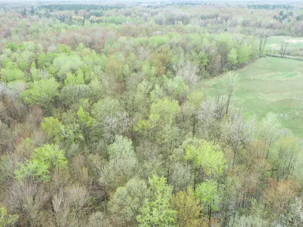 0 Carter Rd, Rhodes, MI 48652