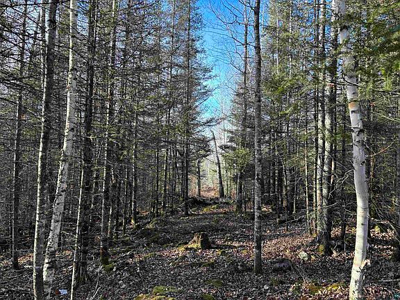 5th image of XXX8 Powerhouse Trail Lot 8