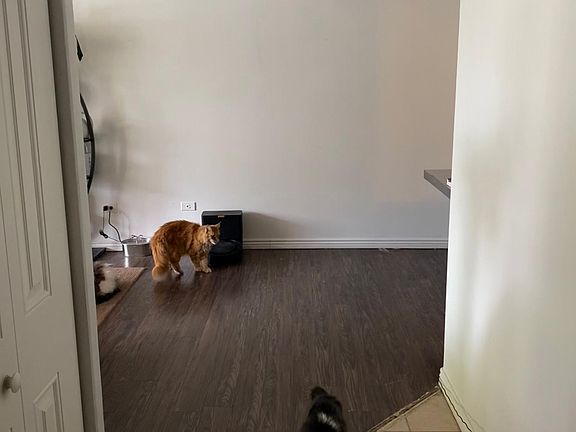 4th image of 1111 N Ash St APT 205