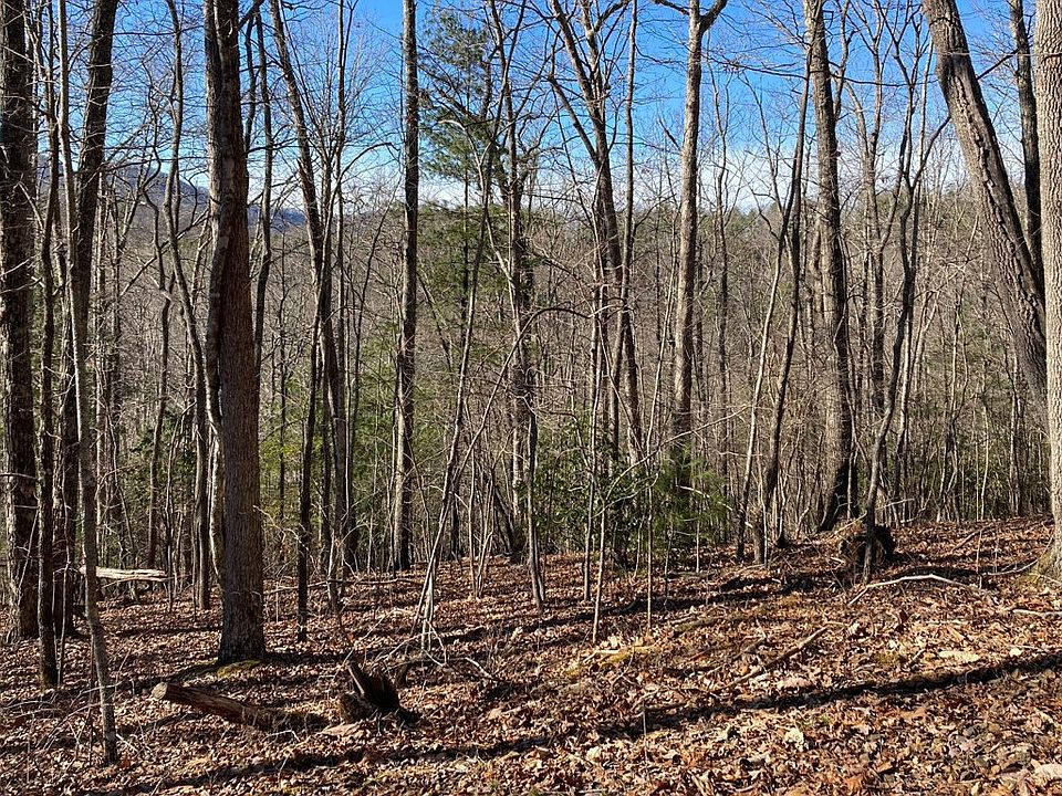 2nd image of 31 High Ridge Rd