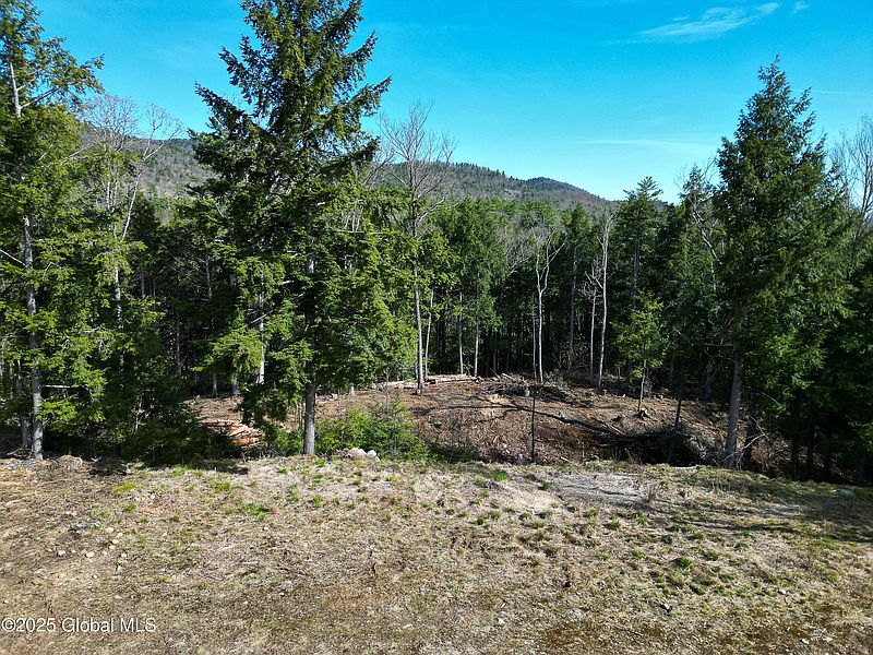 3rd image of 1957 Route 9N