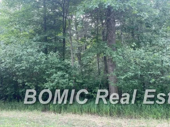 9676 Marshall Rd, Birch Run, MI 48415