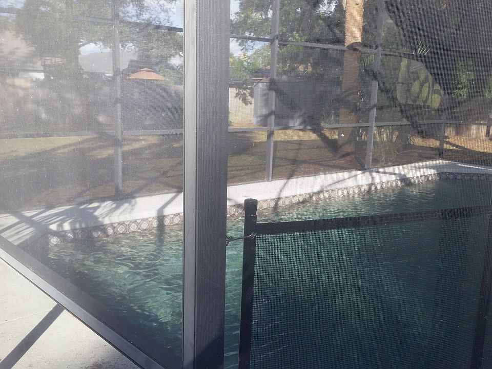 Pool and backyard