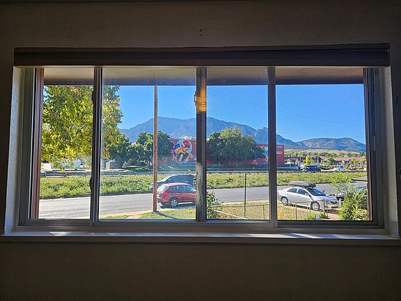 Mountain View from LR window