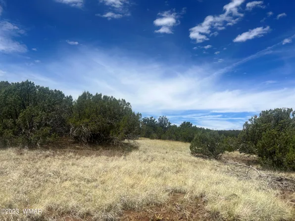 003A Comanche Dr, Concho, AZ 85924
