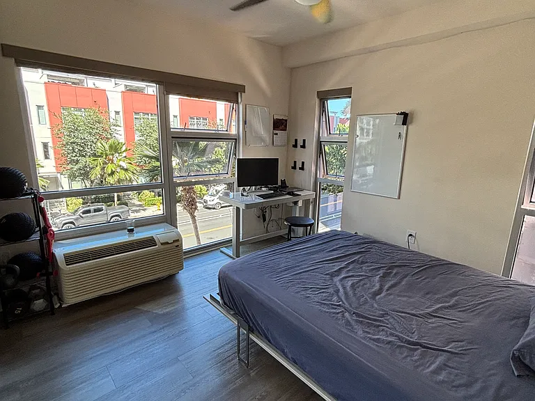 Primary bedroom with a queen-size Murphy bed and built-in storage