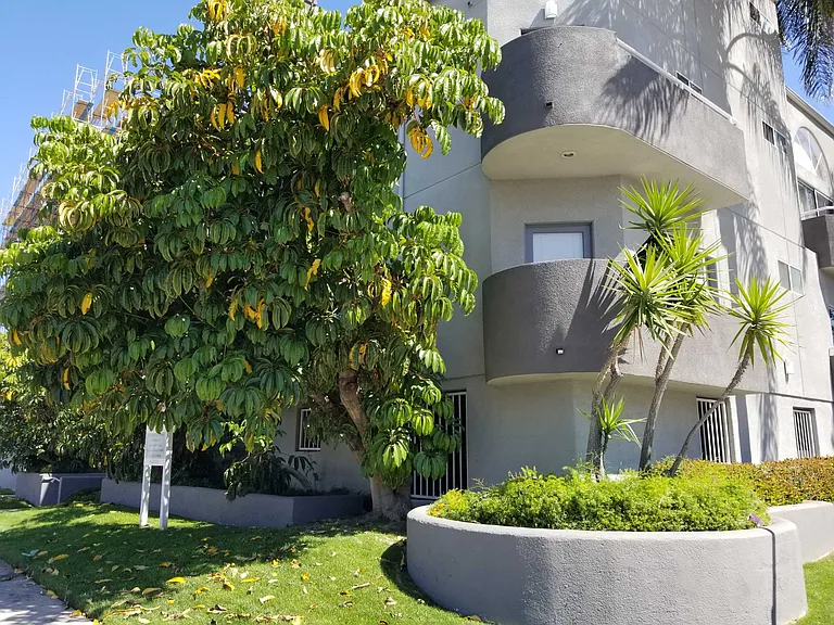 Vanowen St — Photo 24